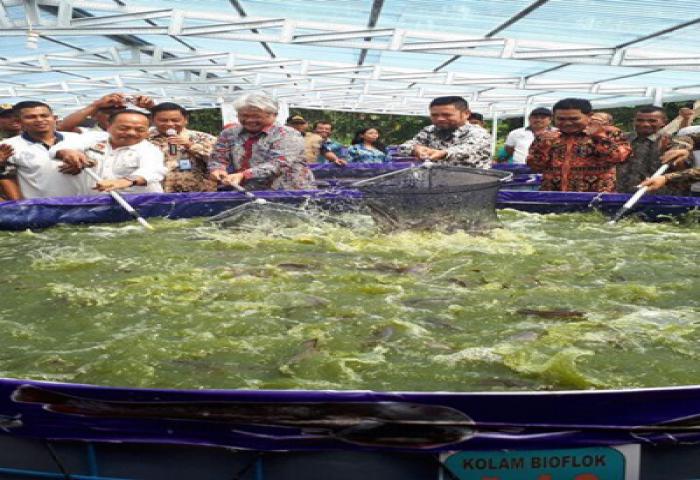 Budidaya Lele Sistem Bioflok Dapat Tingkatkan Kesejahteraan Masyarakat Perbatasan